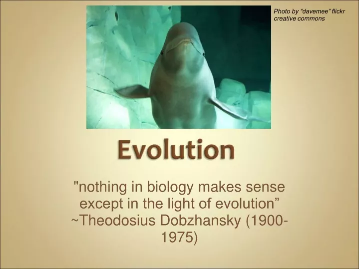 nothing in biology makes sense except in the light of evolution theodosius dobzhansky 1900 1975