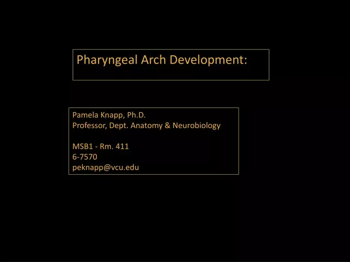 pharyngeal arch development