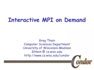 Interactive MPI on Demand