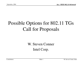 Possible Options for 802.11 TGs Call for Proposals