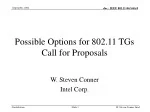 Possible Options for 802.11 TGs Call for Proposals - slide 1