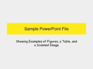 Sample PowerPoint File