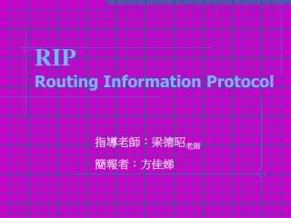 RIP Routing Information Protocol