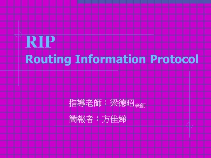 rip routing information protocol