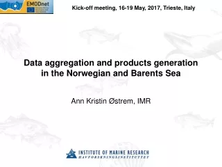Data aggregation and products generation in the Norwegian and Barents Sea