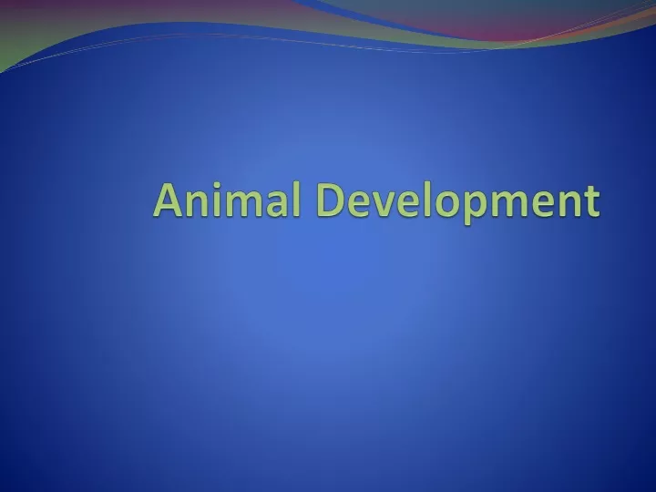 animal development