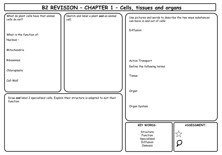 b2 revision chapter 1 cells tissues and organs