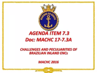 AGENDA ITEM 7.3 Doc : MACHC 17-7.3A