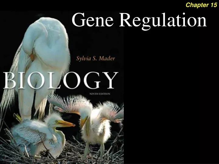 gene regulation