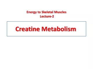 Creatine  Metabolism