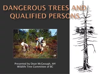 Dangerous Trees and Qualified Persons