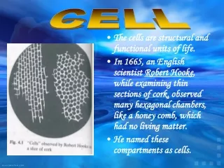 The cells are structural and functional units of life.