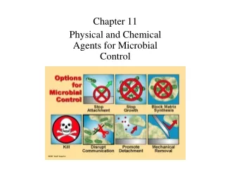 Chapter 11 Physical and Chemical Agents for Microbial Control
