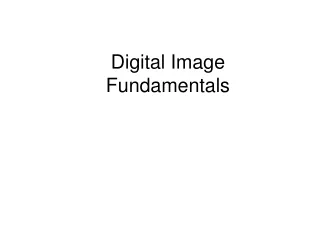 Digital Image Fundamentals