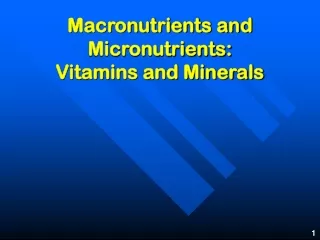 Macronutrients and Micronutrients: Vitamins and Minerals