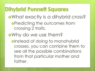 Dihybrid Punnett  Squares