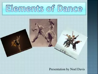 Presentation by Noel Davis