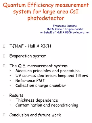 Quantum Efficiency measurement system for large area CsI photodetector