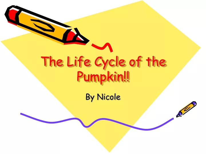 the life cycle of the pumpkin