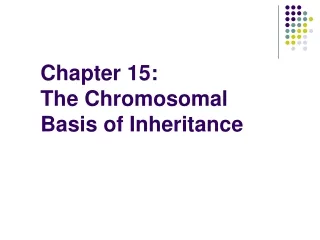 Chapter 15: The Chromosomal Basis of Inheritance