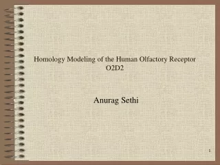 Homology Modeling of the Human Olfactory Receptor O2D2