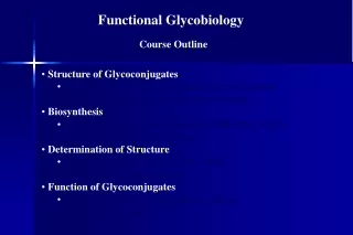 Functional Glycobiology