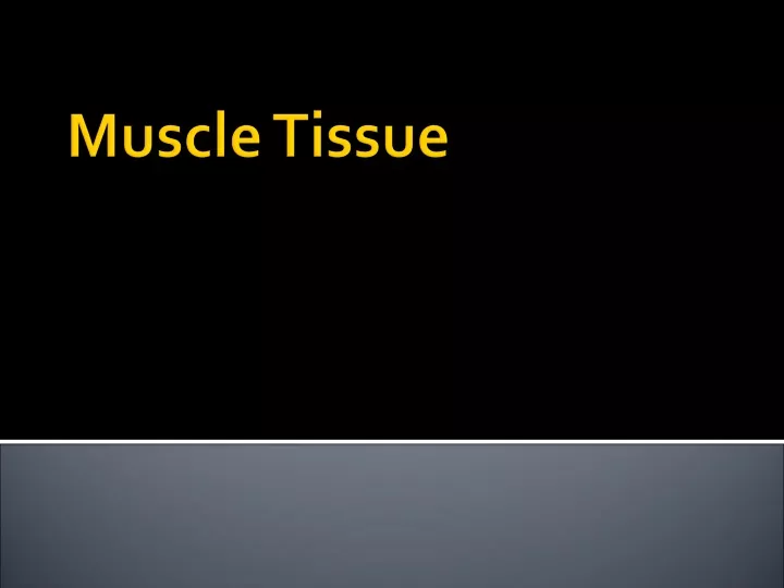 muscle tissue