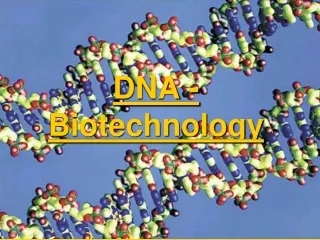 DNA - Biotechnology