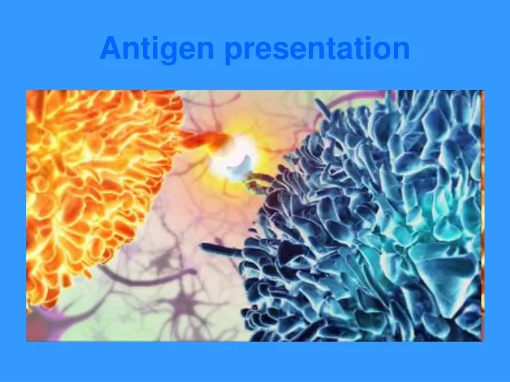 antigen presentation