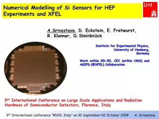 Numerical Modelling of Si Sensors for HEP Experiments and XFEL