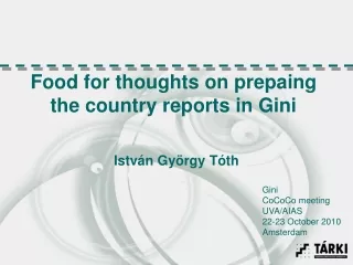 Food for thoughts on prepaing the country reports in Gini