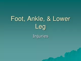 Foot, Ankle, &amp; Lower Leg