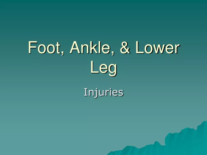 foot ankle lower leg
