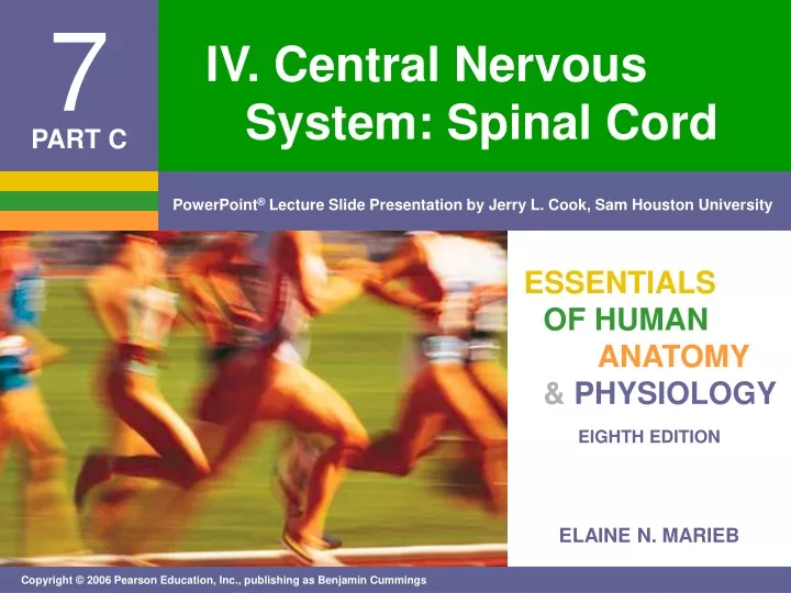 iv central nervous system spinal cord