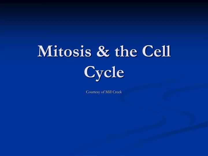 mitosis the cell cycle
