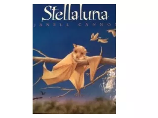Stella Luna Song