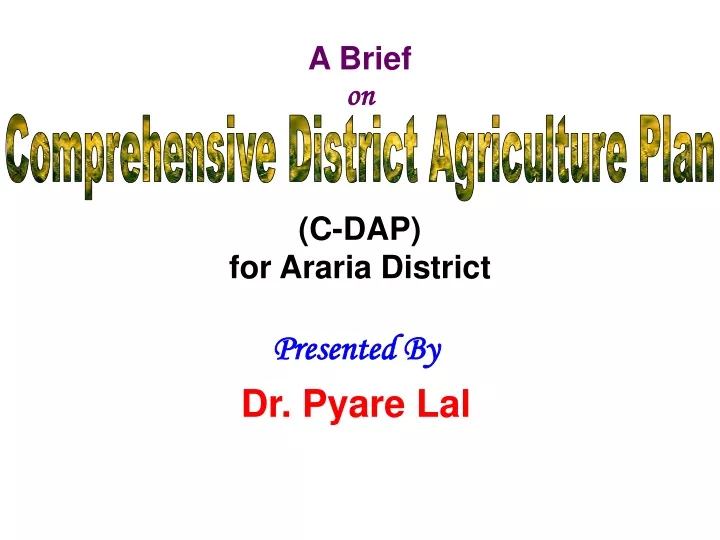 a brief on c dap for araria district