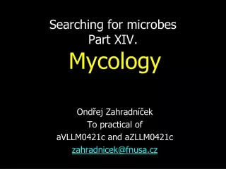 Searching for microbes Part XI V .  Mycology