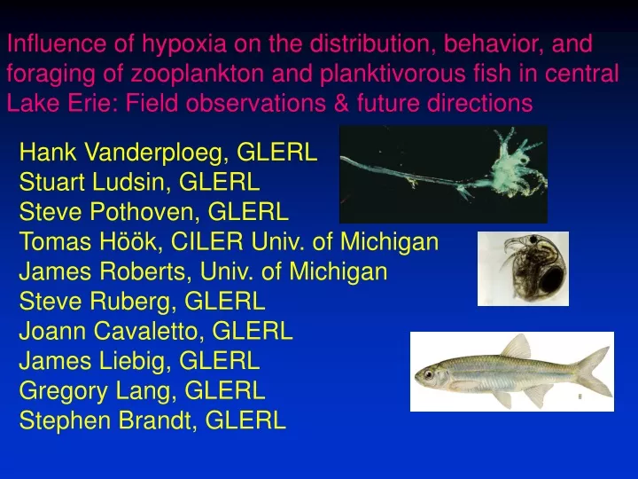 influence of hypoxia on the distribution behavior
