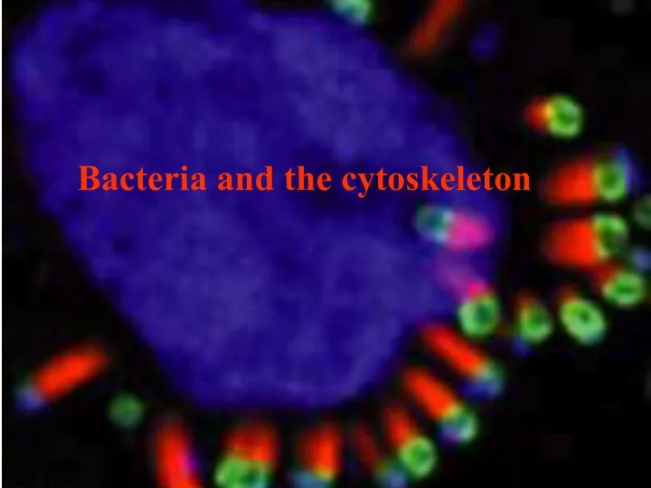 bacteria and the cytoskeleton