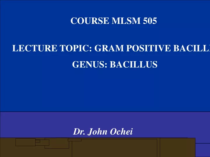 course mlsm 505 lecture topic gram positive