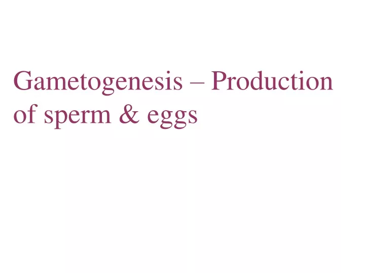 gametogenesis production of sperm eggs