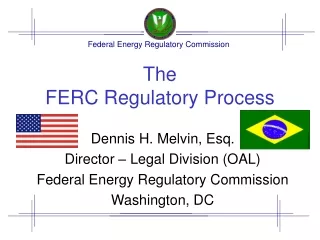 The  FERC Regulatory Process