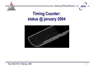 Timing Counter:  status @ january 2004
