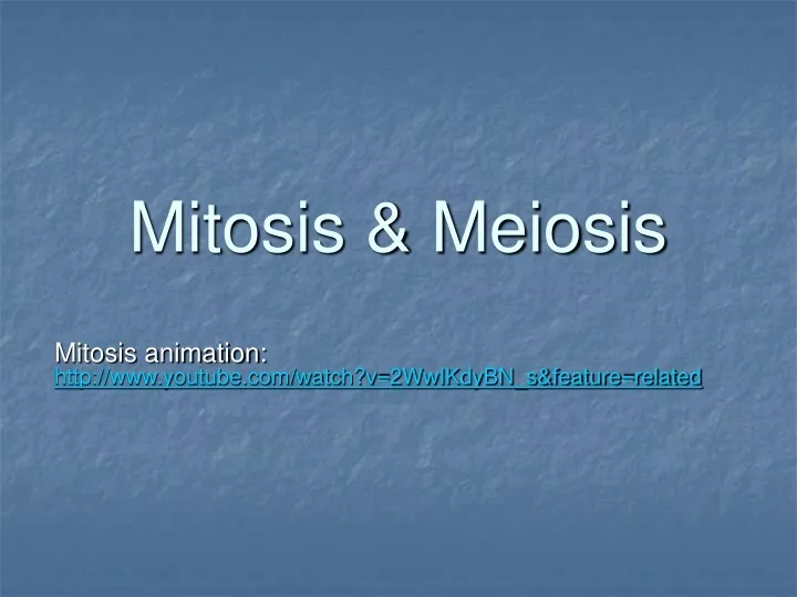 mitosis meiosis