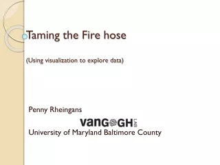 Taming the Fire hose (Using visualization to explore data)