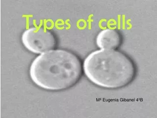 Types of cells