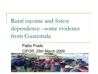 Rural income and forest dependence –some evidence from Guatemala
