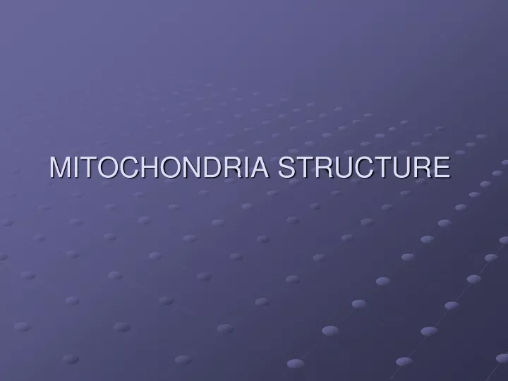 mitochondria structure