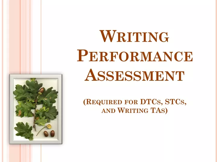 writing performance assessment required for dtcs stcs and writing tas